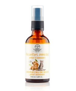 Réconfort immédiat - Spray d'Ambiance pour animaux BIO, 50 ml